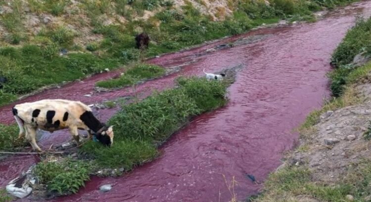 Edomex, el primero en contaminar el Rio Atoyac