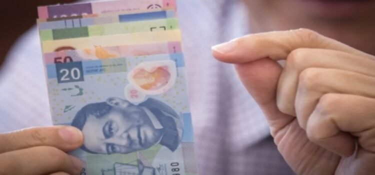 Apuestan por independencia financiera para emancipar a víctimas de violencia de género en Neza Apuestan por independencia financiera para emancipar a víctimas de violencia de género en Neza