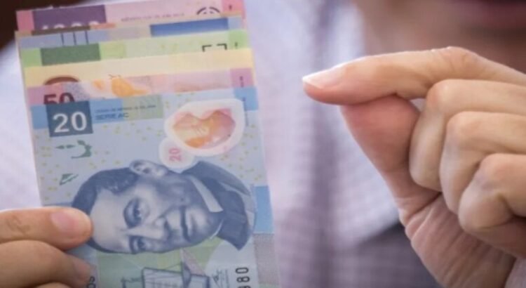 Apuestan por independencia financiera para emancipar a víctimas de violencia de género en Neza