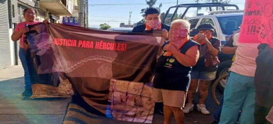 Pizzería se disculpa por maltrato animal en Nezahualcóyotl